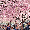 Cseresznyefa virágzás - Sakura ünnep 2019-ben Budapesten a Füvészkertben!