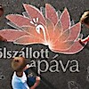 Fincos - Fölszállot a Páva Gála 2017-ben a MOM-ban - Jegyek itt!