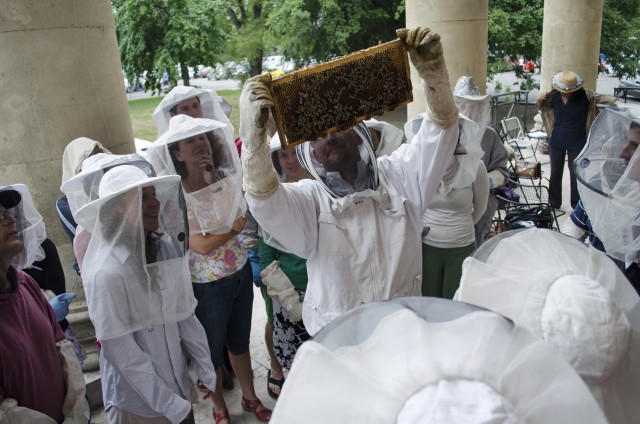 Közösségi Méz - Új Múzeum Méheknek - Városi méhészet nyílik Budapesten!