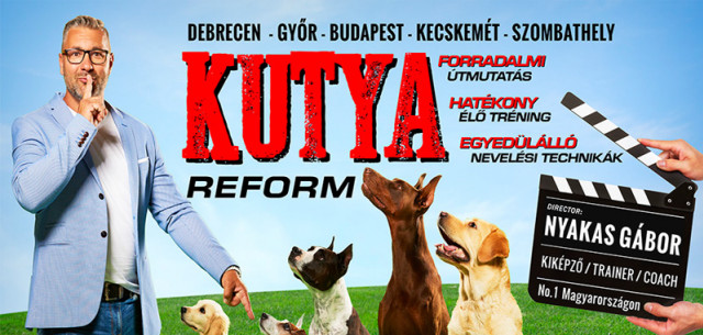 Kutyareform kutya show Nyakas Gáborral 2019-ben Kecskeméten az Agorában - Jegyek itt!