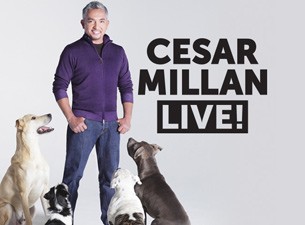 Találkozz személyesen Cesar Millannal - Meet&Greet jegyek itt!