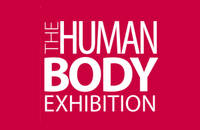 The Human Body kiállítás! Jegyek itt!