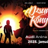 A dzsungel könyve musical 2025-ben Győrben az  Audi Arénában a Vígszínház sztárjaival - Jegyek itt!