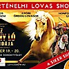 Az Arany ló legendája lovas show 2020-ban a Lázár Lovas Parkban - Jegyek itt!