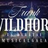 Frank Wildhorn musicalgála a Margitszigeten! NYERJ 2 JEGYET!