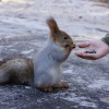 INGYENES mókuspark nyílt Budapesten! Itt a címe!