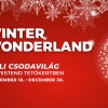 INGYENES Winter Wonderland Budapesten 2022-ben!
