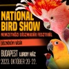National Bird Show- Díszmadár Fesztivál Budapesten! Jegyek itt!