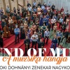 Sound of Music - A Budafoki Dohnányi Zenekar koncertje filmzenékkel Vecsésen - Jegyek itt!