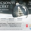 TÁRJÁTOK KI A SZÍVETEKET! - Karácsonyi jótékonysági koncert a Bazilikában - Jegyek itt!