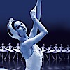 White Swan – Az Izrael Balett Hattyúk tava előadása 2017-ben Budapesten - Jegyek itt!