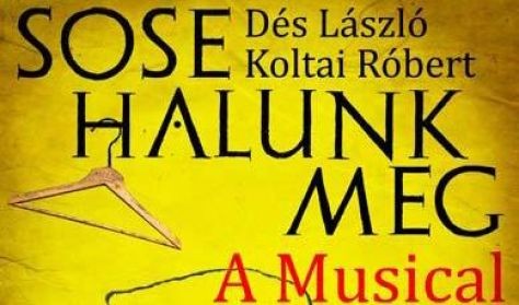 Sose halunk meg musical Veszprémben a Hangvillában - Jegyek itt!
