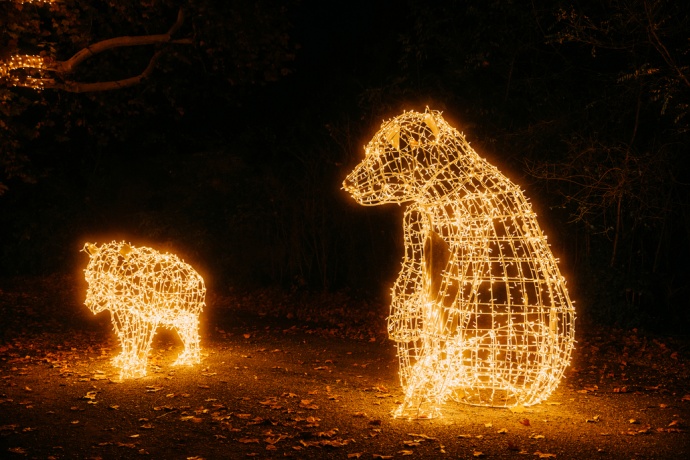Szolnoki Állatkert Fénypark - Jegyárak és infók itt!