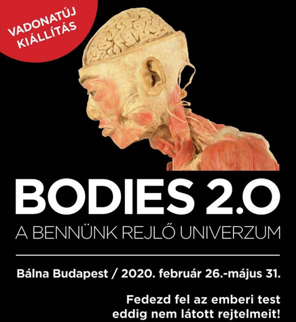 Új Bodies kiállítás 2020-ban Budapesten a Bálnában - Jegyek a Bodie 2.0. kiállításra itt!